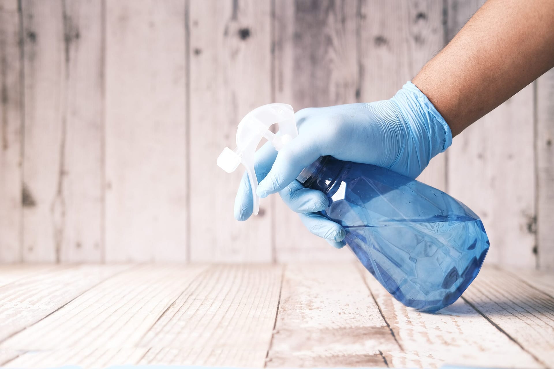 What does the best cleaning service offer? Read on and find out!