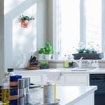cleaning your home the best